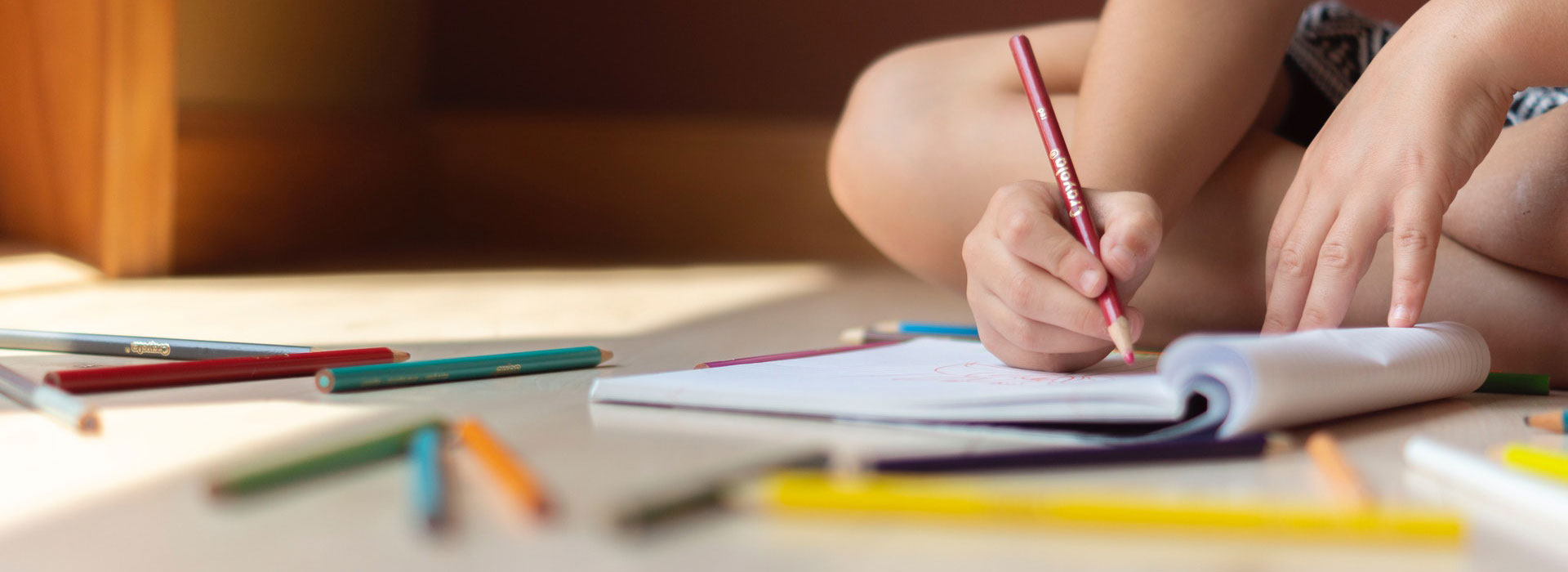 image of a child coloring in a notebook with colored pencils